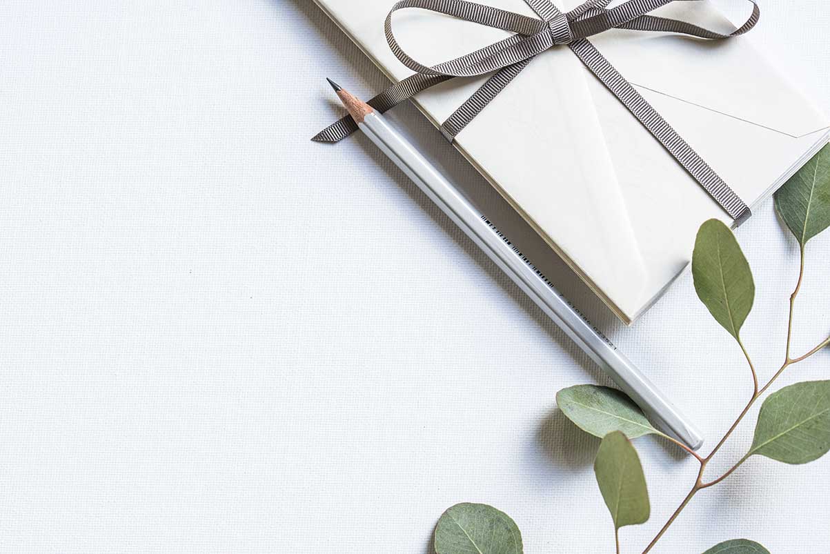 White present with a silver bow in one corner with an tree branch below it on a white background